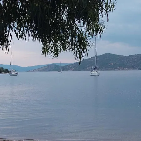 Vitamin Sea 4, άνετο διαμέρισμα.