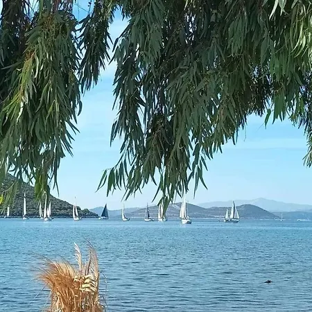 Vitamin Sea 4, άνετο διαμέρισμα. Apartment